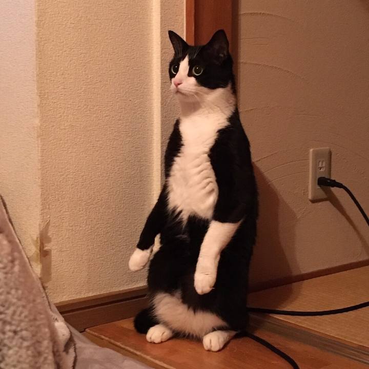 511e71e9 7dec 4061 a47b c24cd446f49e