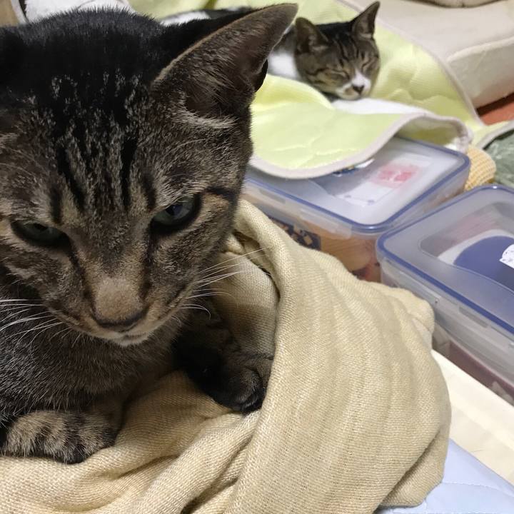 511e7edb c230 4b3b 95a6 330678de1fdd