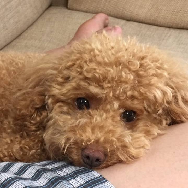 511f4d12 b859 4b4f 901d 33f4bddcc031