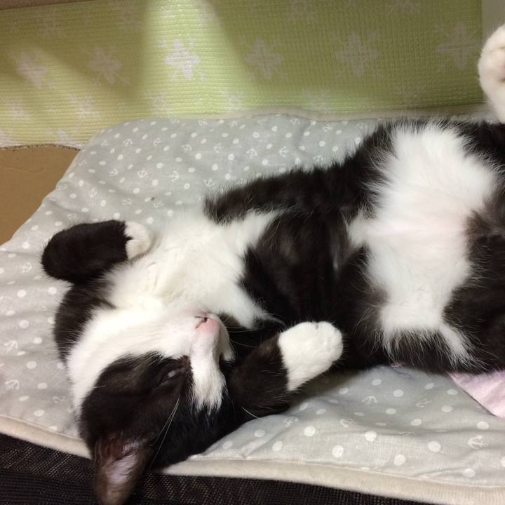 511f5c74 3abf 4d1d 98db 36e5b796be54