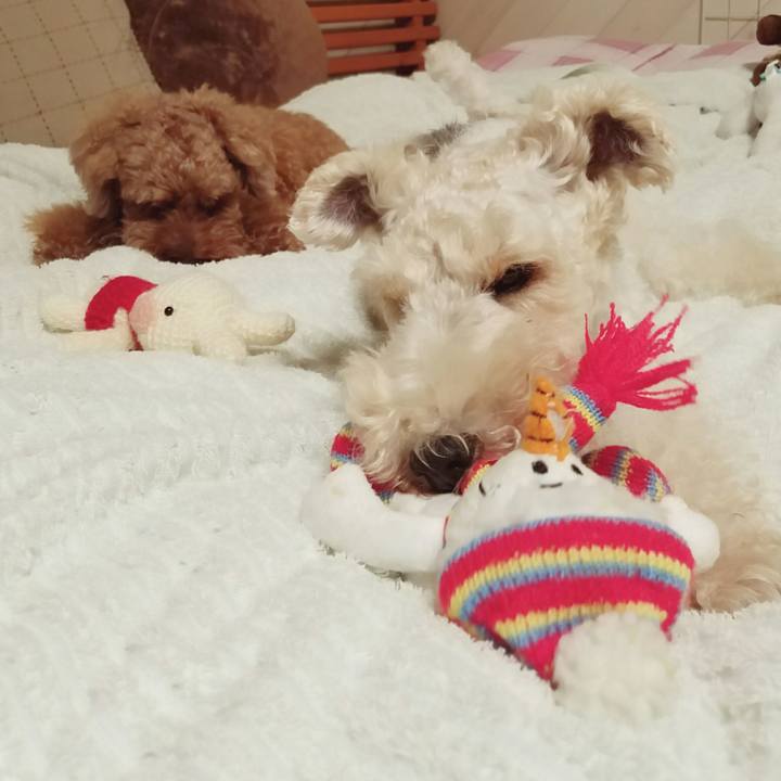 511f6283 9982 4e9a aea2 cb7019b6bf55