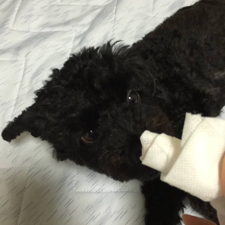 511f6305 2601 420d 9345 5efbb8db9746