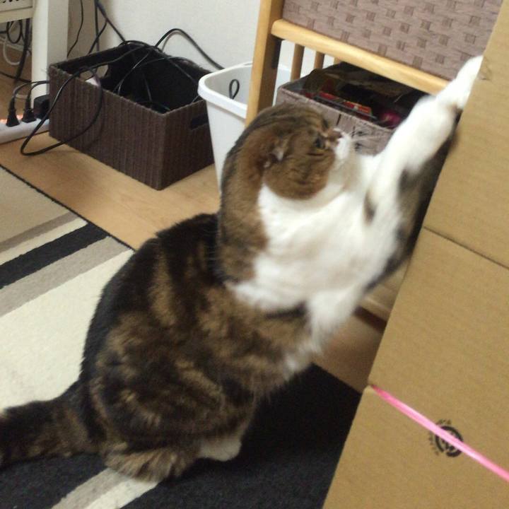 511f69bf 2470 462e bc26 f2b6ce6a3711