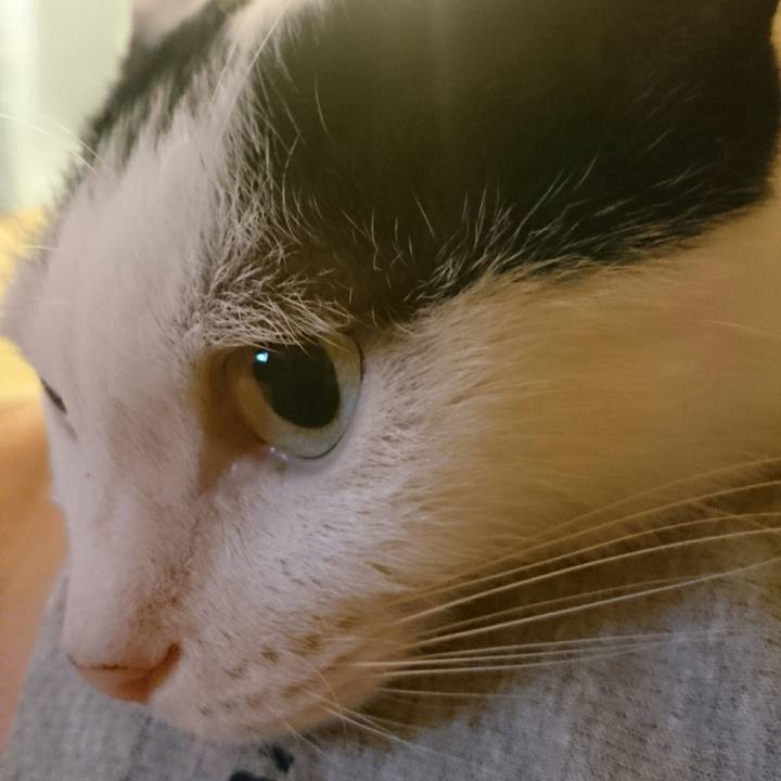 511fb8d9 24cf 49e2 bdb0 ac5447c6c27f