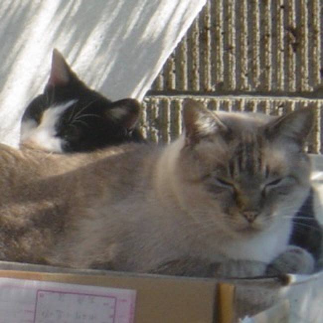 511fb9c6 2b3d 42a7 b9a3 2559c735132a