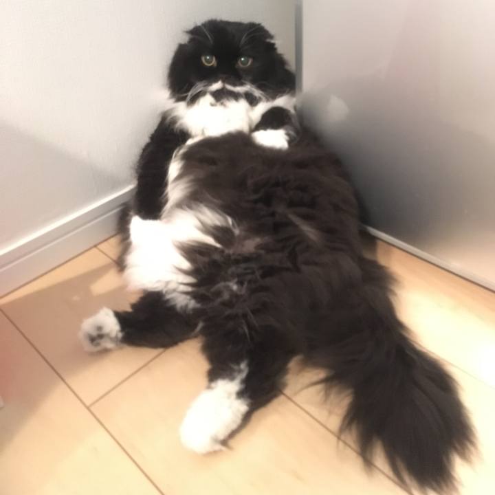 511fc76d 968f 4279 a4bc 514446a029be