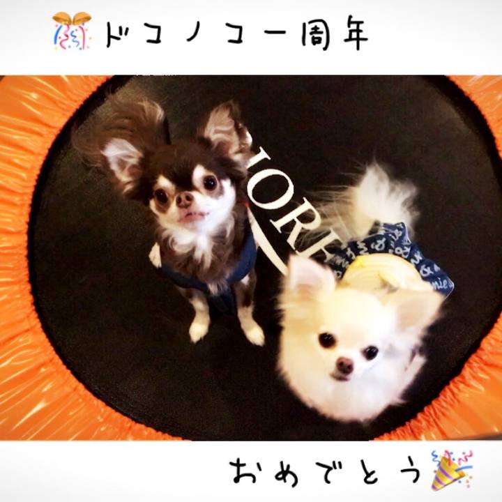 51200940 31e3 4e70 89a7 5f494ffac146