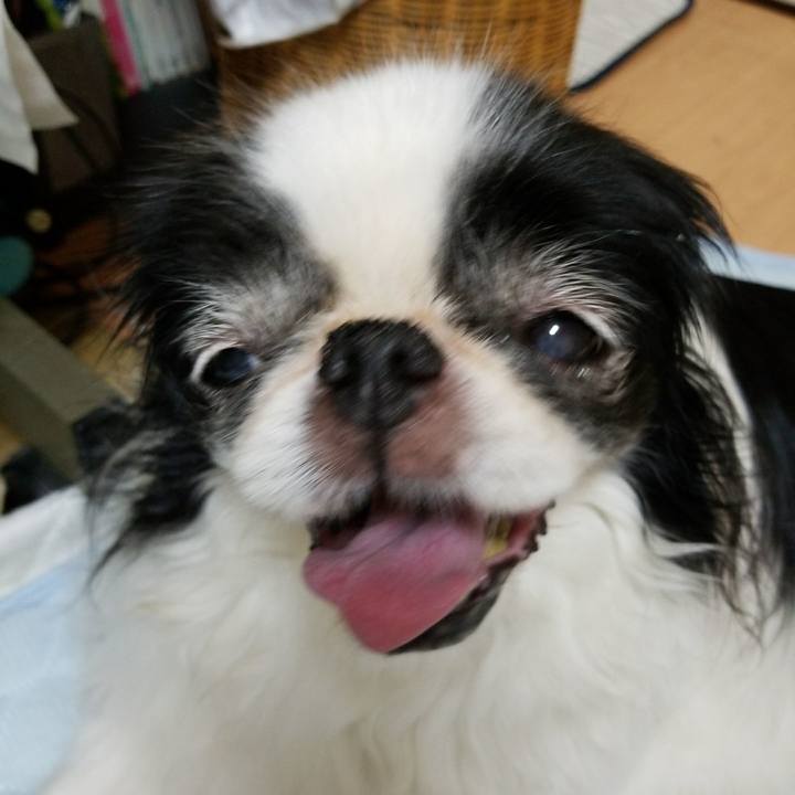 51206989 0c55 4ce2 911b 362a17496486