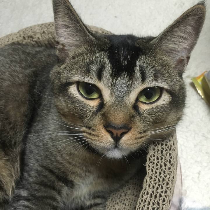 512126f3 2f6c 40b2 99ff 40d167bfb96d