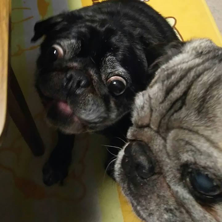 51216caf bfa6 44f6 acad 04015334db80