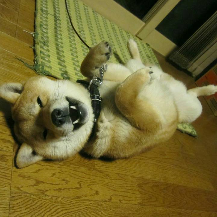 5121c66f ea2b 4c46 ad3c 3bce117bf077