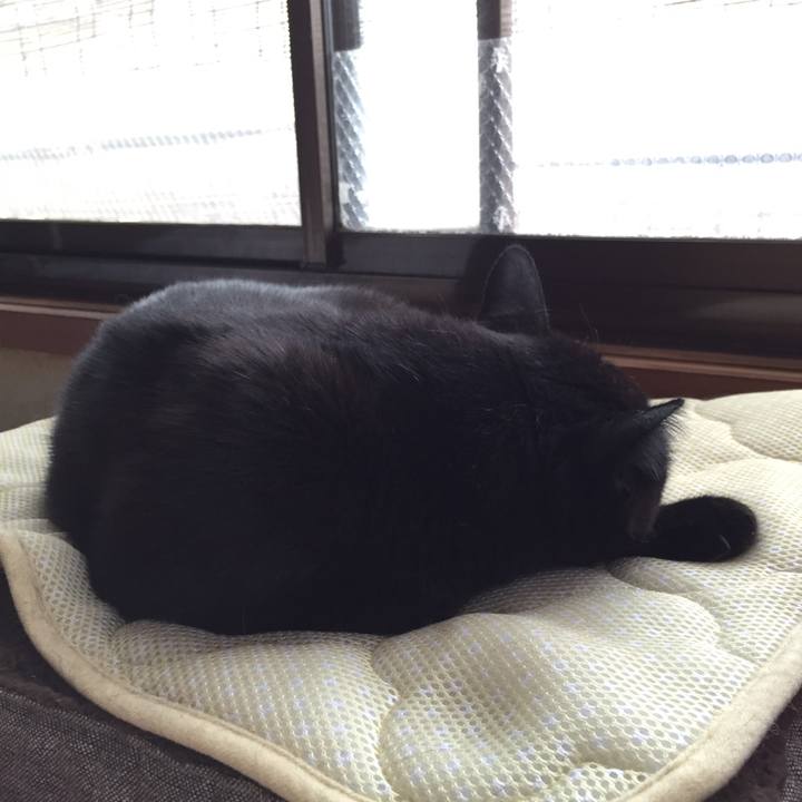 5121d569 5f41 48f4 8176 2c41a1eeff0e