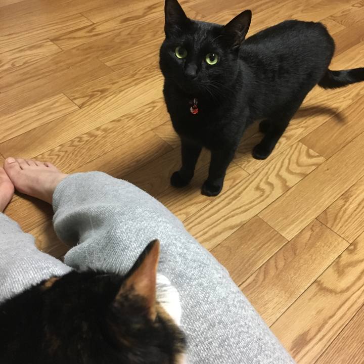 5122729d 0e66 4859 a06a 34fbb97c1480