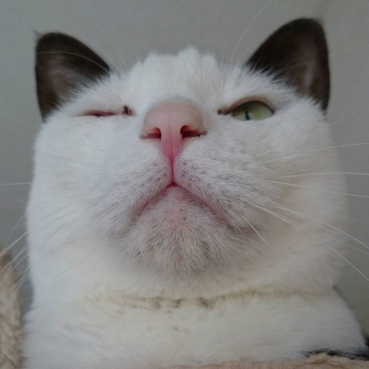 5122ce68 19a5 4aa2 83b4 226f51960151