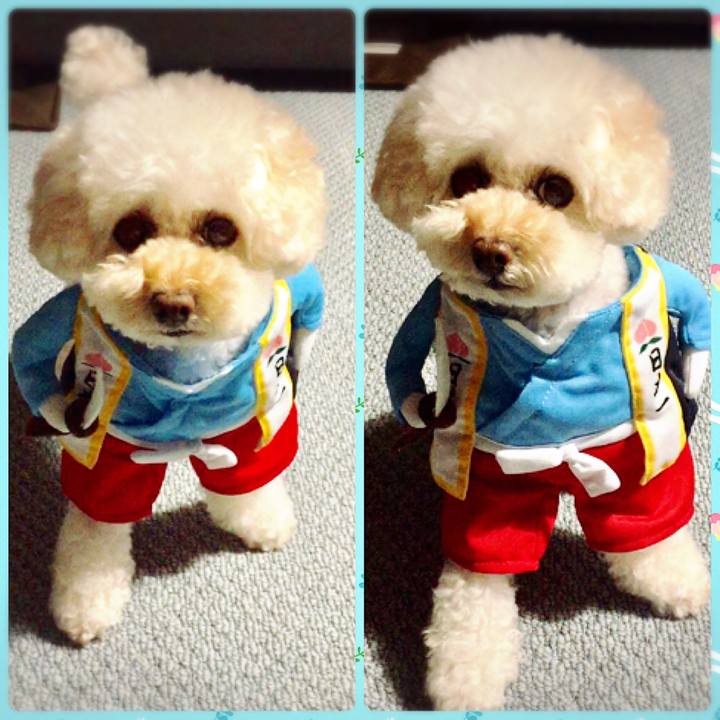 5122d1f2 c683 4985 813f fe6d48e20554