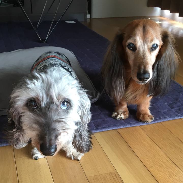 5122ffd5 5217 4282 b145 b22d5338bbf9