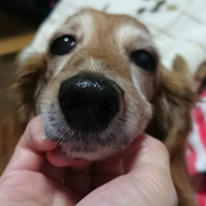 51232b09 0340 4eec 84b1 d34349104a62