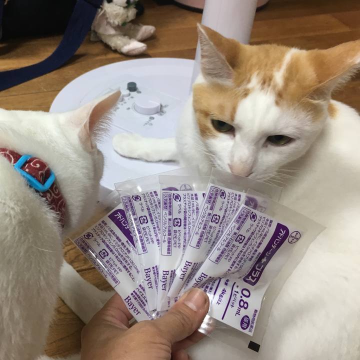 5123cb0f 218c 430f a0dd b4c66f98c6aa