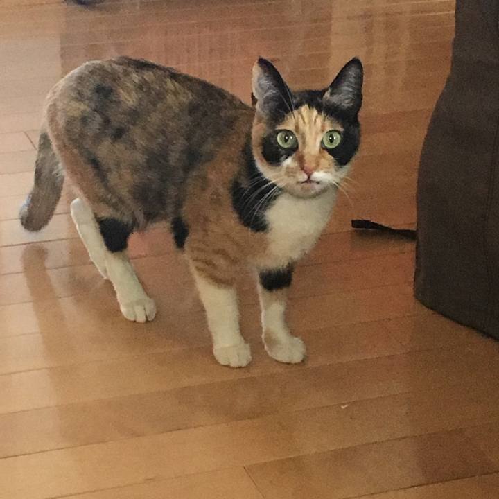 5123d38b c2e3 40a3 9122 f5459e910d84