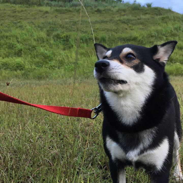 5124eb47 9e49 42d7 a0af 99fb012949b3