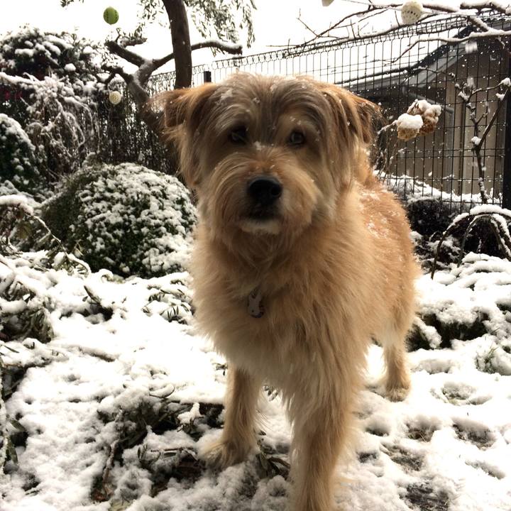 51261470 d380 4259 b5f2 2c8c3ef0a610