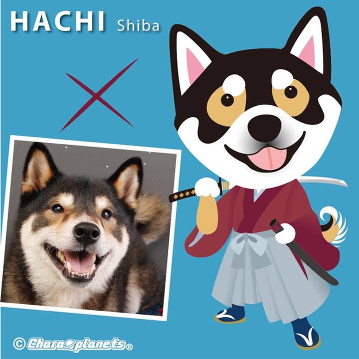 51263d84 141e 49ed b6e1 fb5fdd001fbb