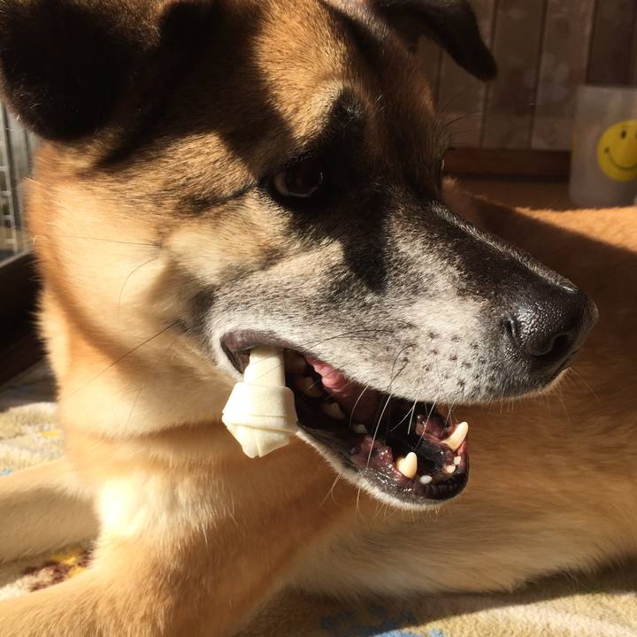 51272883 8a8f 4a81 abb3 42e64093a46a