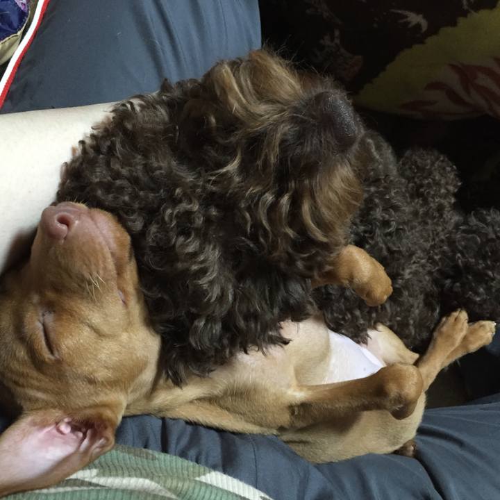 51273312 90a0 4970 9f4d a2f6b2446c67