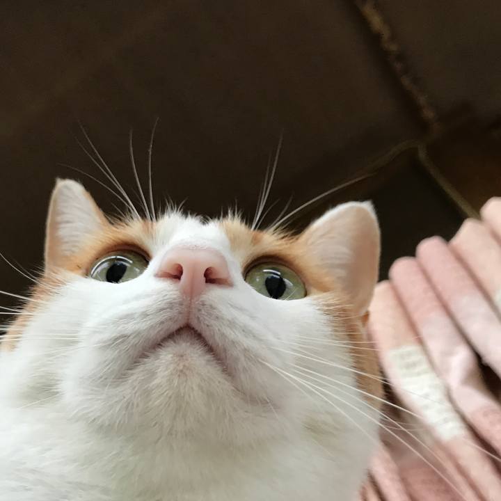 51276841 2c71 4ce3 b751 f7528371f3a5