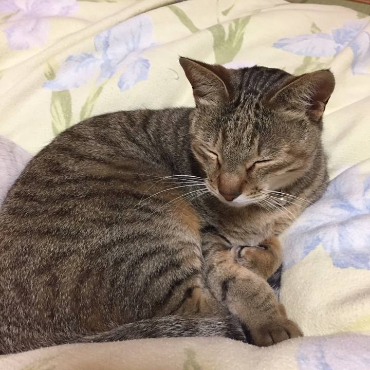 51288a8e 8668 4d4c 883b 7feff29da9f1