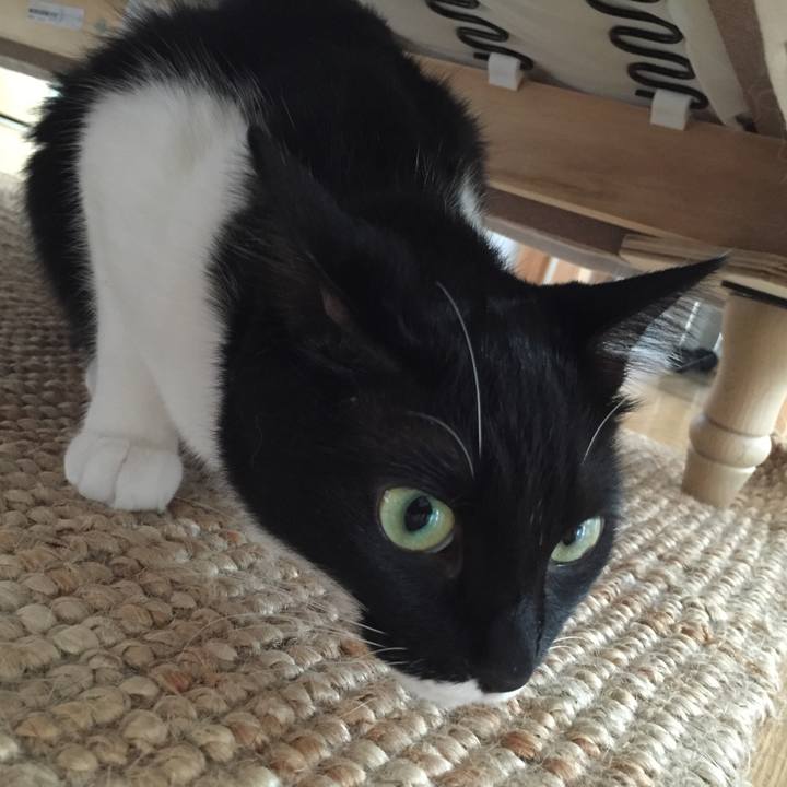 5128bf07 415d 4636 804b c6f5fe5278f5