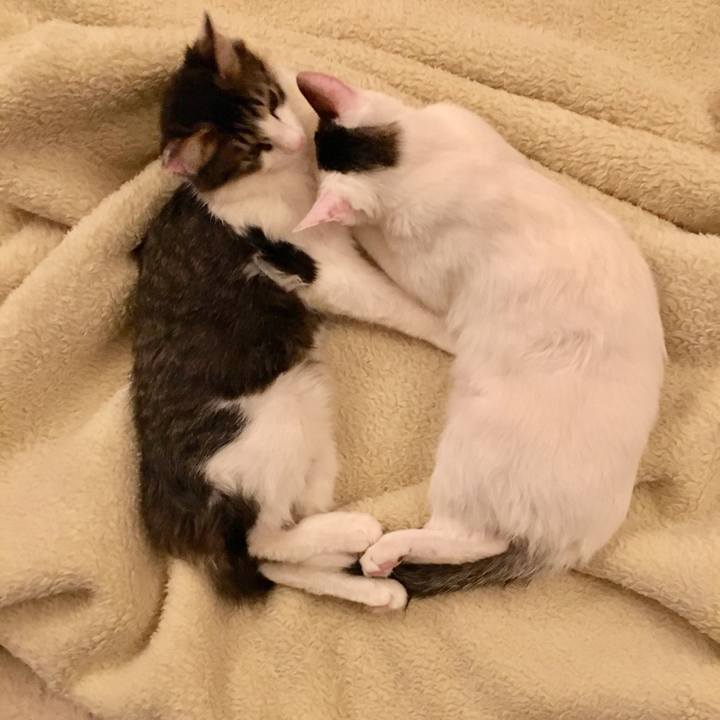 512a0269 1113 4cd1 b48a 3d9c95fb4e70