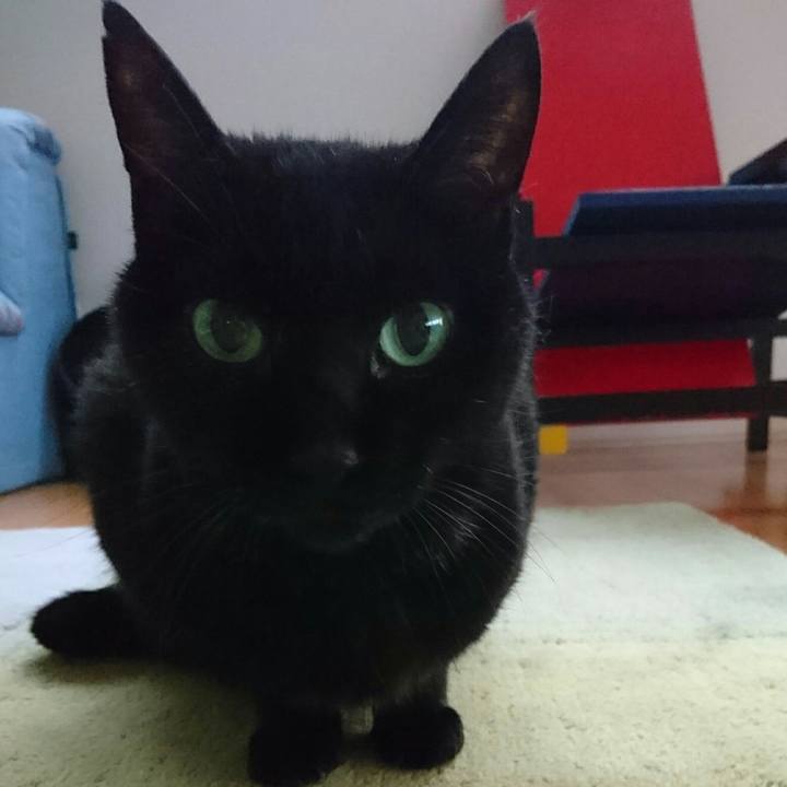 512a0bc4 c807 4f1c be37 bc470e99d181