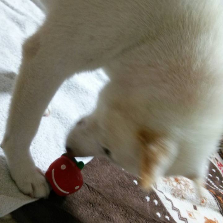 512afb44 b02d 4d1a 996e 80986a235eea