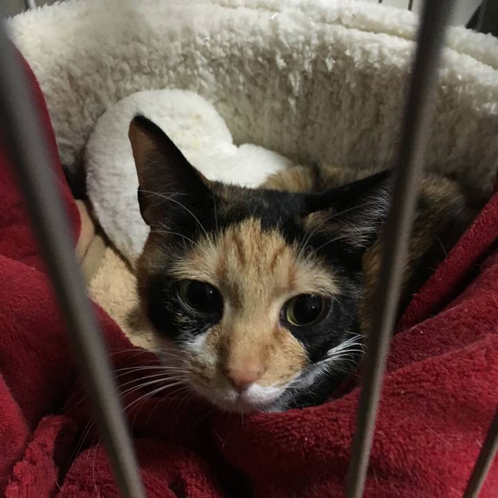 512b0038 61fe 4d81 8226 769109a12986