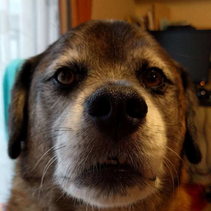 512b66c1 aa8b 4833 95cd ff27033c5147