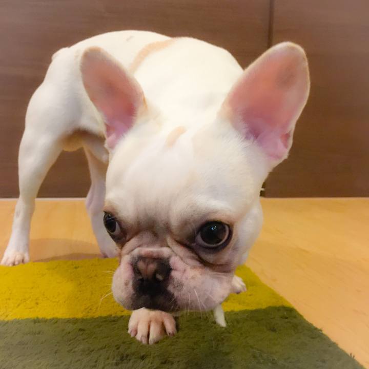 512c0b08 3263 4d9b a35a 467b1818185c