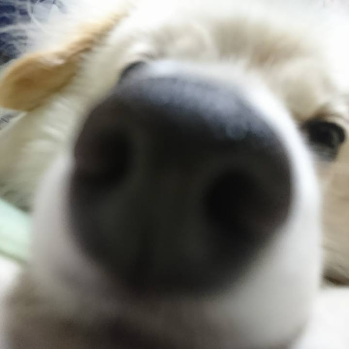 512cff20 2303 488f b334 89596cde42cc