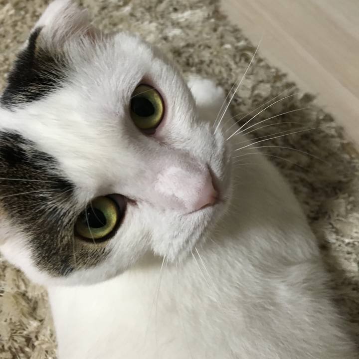 512d0eb3 1f38 4d0e a543 a6732ecf3732