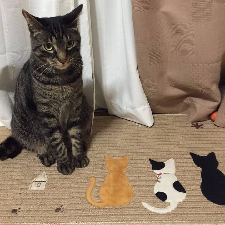 512da98d d49c 42dd 8923 de91bfde866f