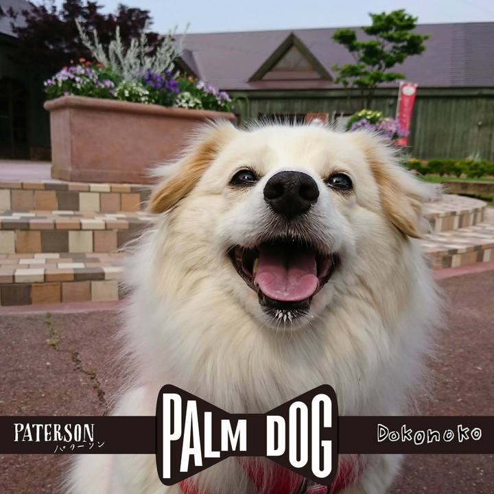 512dab91 ab38 457c b6b3 3090434a3ef7