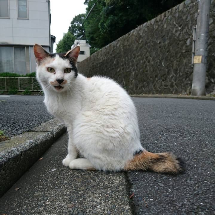 512dc5ee 1700 4bc9 8a35 27ff788c7c52