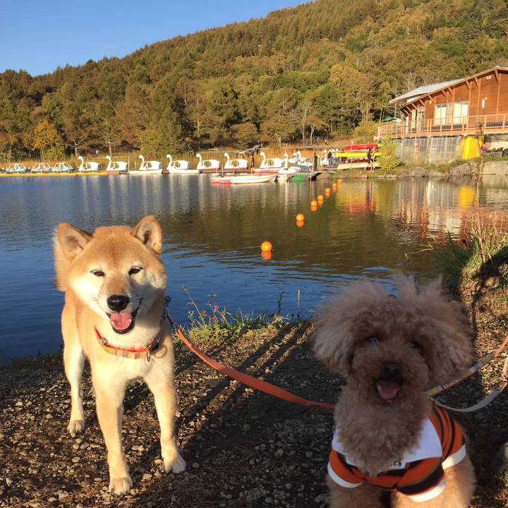 512e1d81 73bd 45d3 b331 80e3730902fa