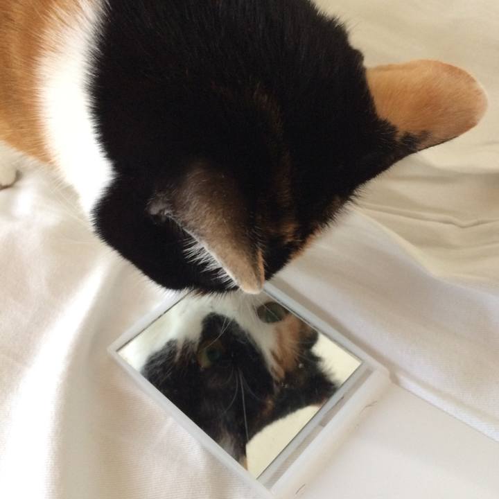 51301b66 3e08 413c 90d3 54e43d1a3a77