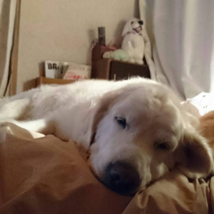 51318884 d49f 4c39 a92d dd159fcfad8c