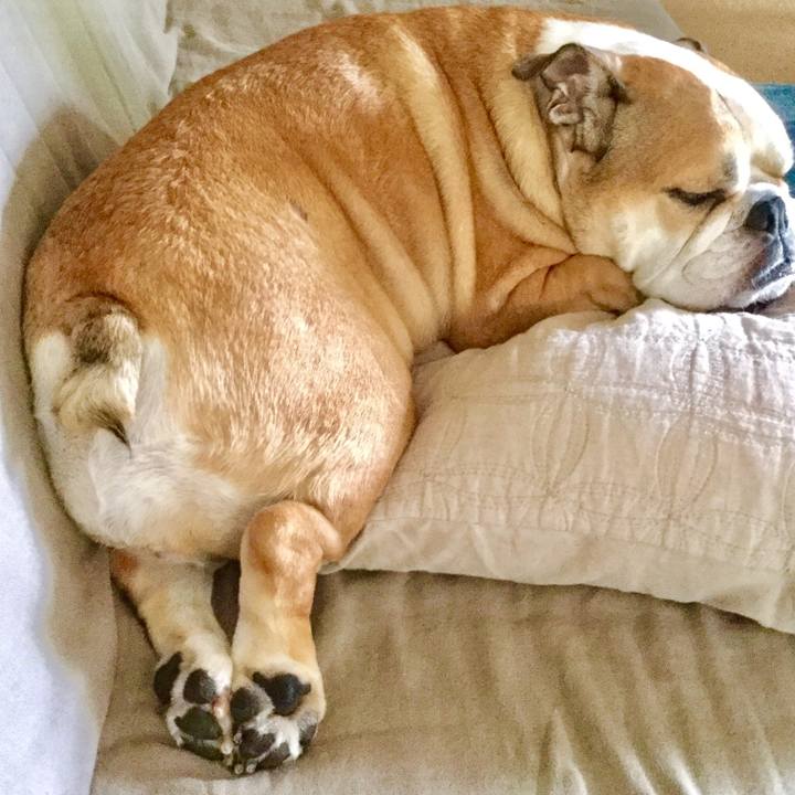 5131d56d 3e4f 44ad 8767 31b1f7561158