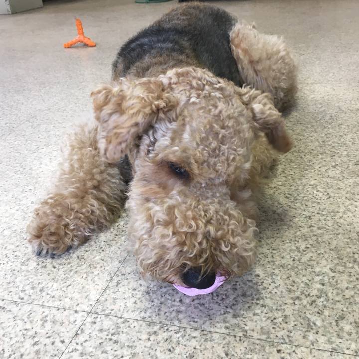 51324b9d a407 451c 945b 357ecb8f9854