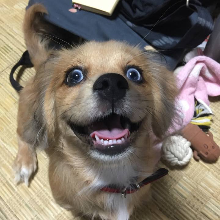 5133a613 1933 483c bcb6 62503a1f4888