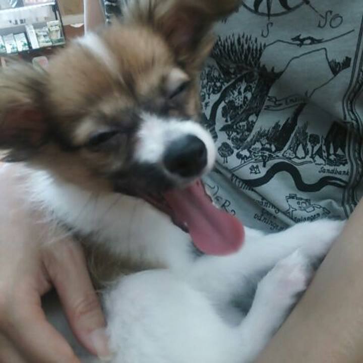 5133bf46 62e9 45f1 93d0 e70605c20d9a