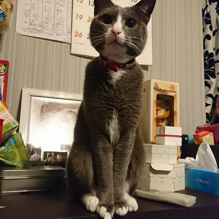 5133d960 c3ef 41cf 8e43 32e5fb91a263